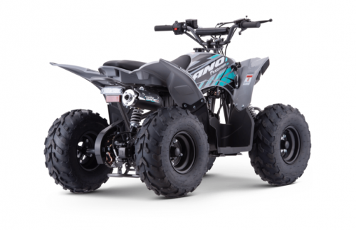 Apollo Quad Sano Predator 110cc